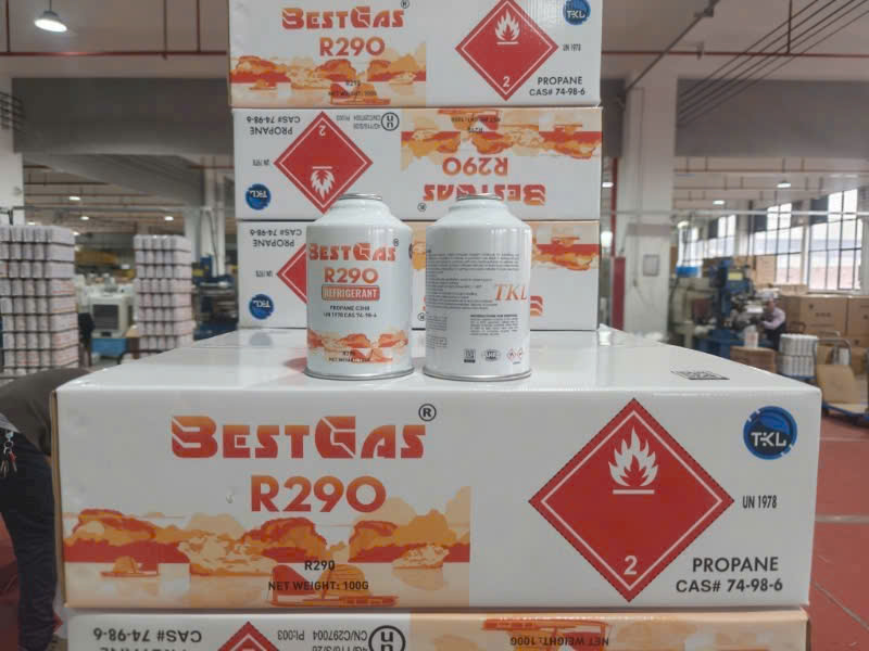 Gas lạnh Bestgas R290 dạng lon (100gram)